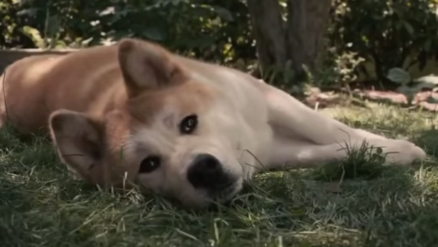 Лучшие фильмы