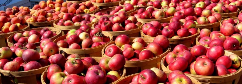 Лунный календарь садовода и огородника на июнь 2018 года