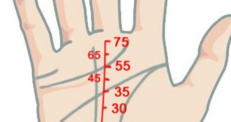 Линия судьбы