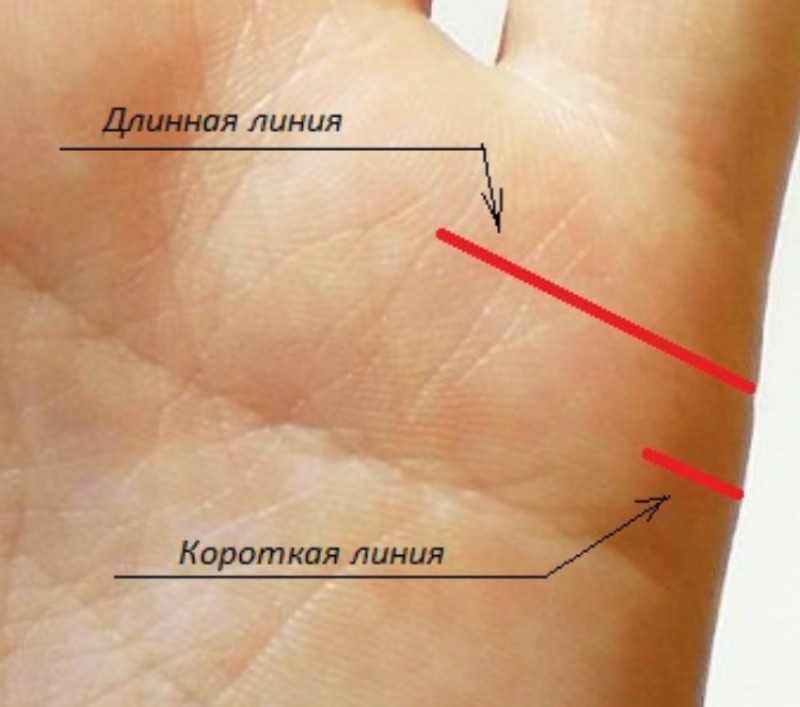 Линия любви