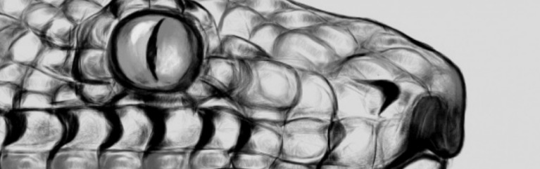 Сонник змея