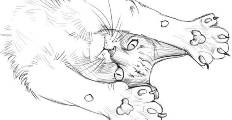 К чему снится Кошка