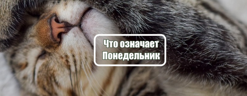 Понедельник