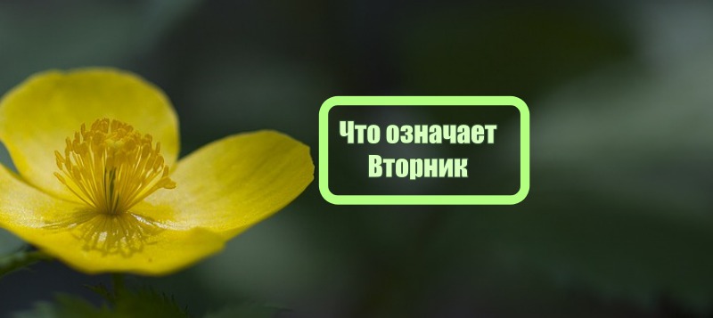 Вторник