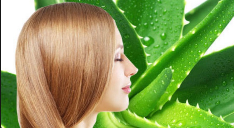 Маска для волос из сока алоэ