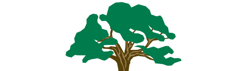 День рождения Вторник