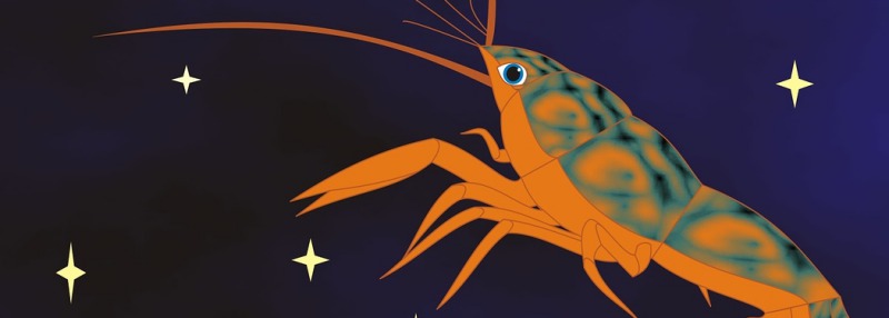 Любовный гороскоп на июль 2018 года