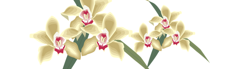 День рождения в Среду