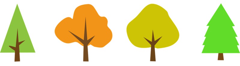 День рождения в Пятницу