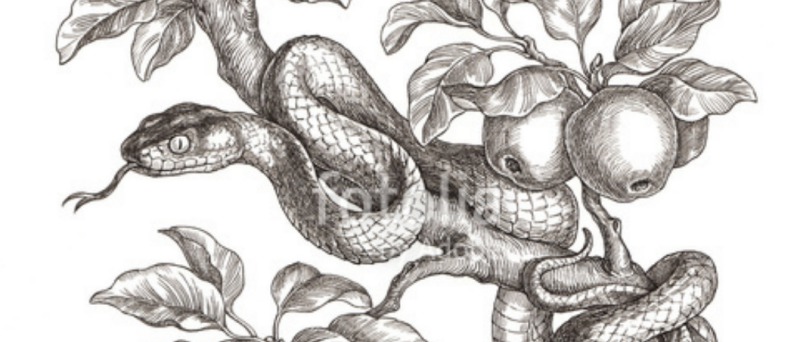 Совместимость Знаков Зодиака