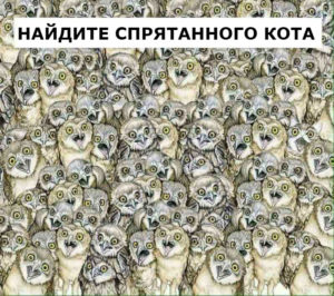 головоломка